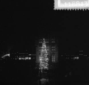 Gouda ontsteekt Noorse kerstboom voor het stadhuis ivm het komende kerstfeest, Bestanddeelnr 911-8813