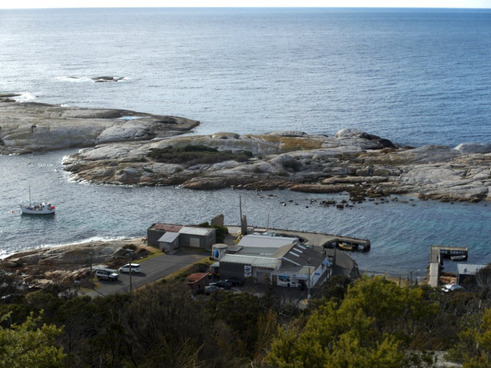 Governor Island Tasmania 201907025-013
