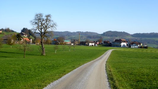 Grämigen von West