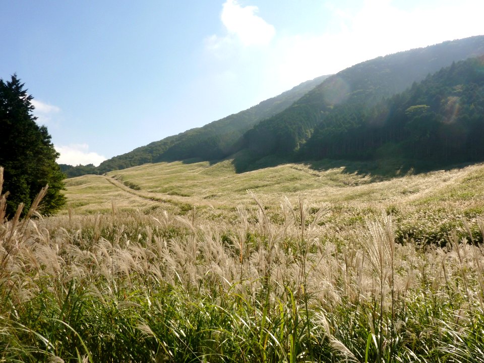 Hakone Sengokuhara 05