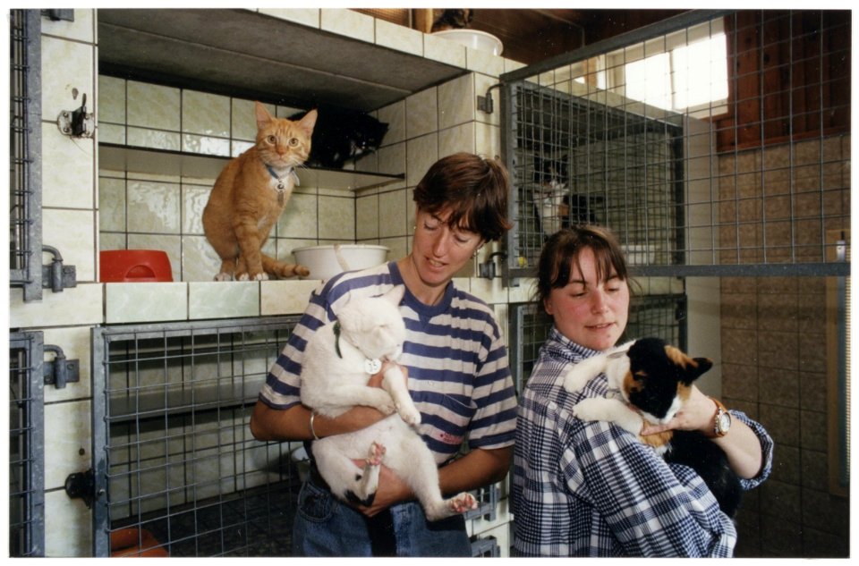Haarlems dierenasiel aan het Houtmanpad. Medewerksters Ingrid Baak (l.) en Sandra v.d. Linden (r.) met hun zwerfkatten. NL-HlmNHA 54036362