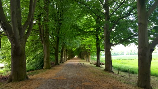 Gulpen-Kasteel Neubourg (75)