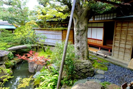 Garden - Nomura Samurai Family Residence - Nagamachi - Kanazawa, Japan - DSC00435