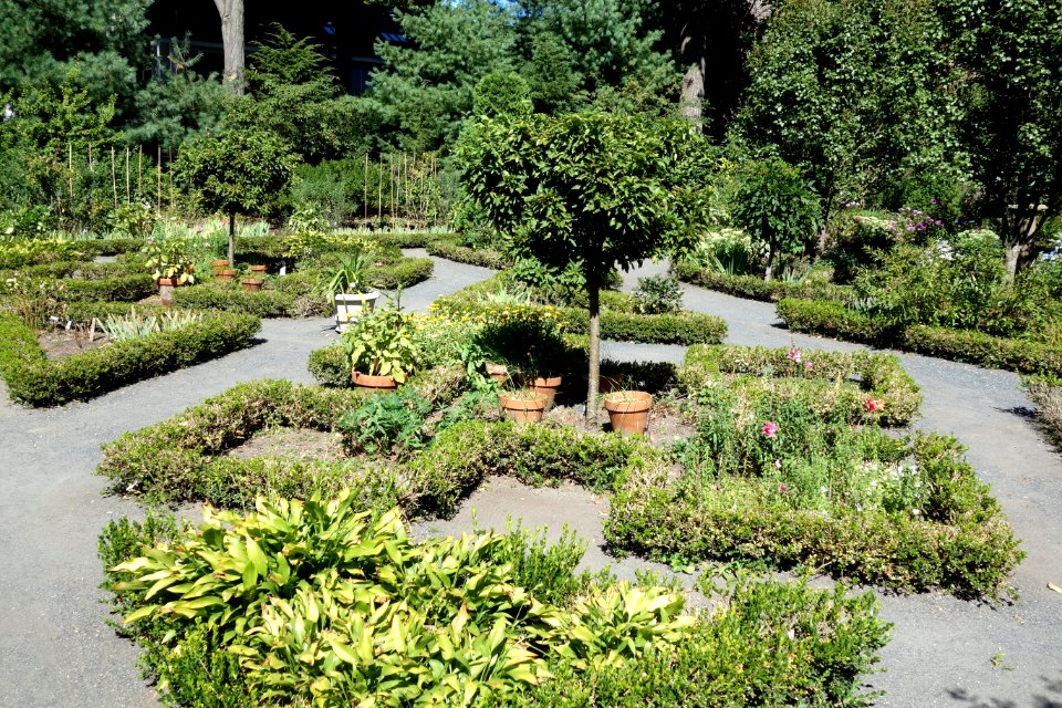 Garden - Longfellow National Historic Site - DSC04848