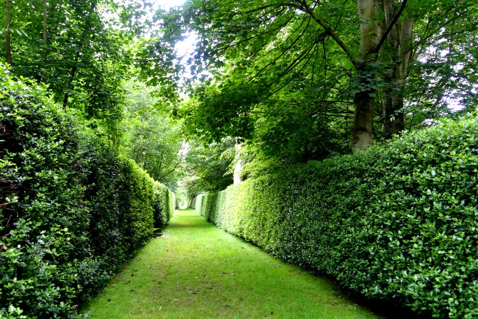 Garden walk - Renishaw Hall - Derbyshire, England - DSC02314