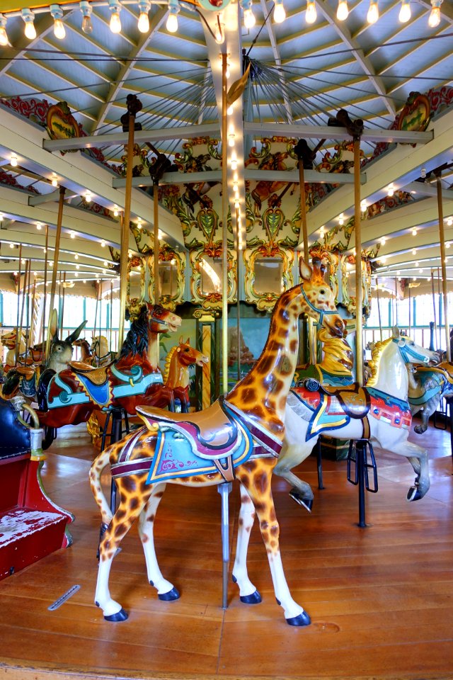 Giraffe - Dentzel Carousel, San Francisco Zoo - San Francisco, CA - DSC03425