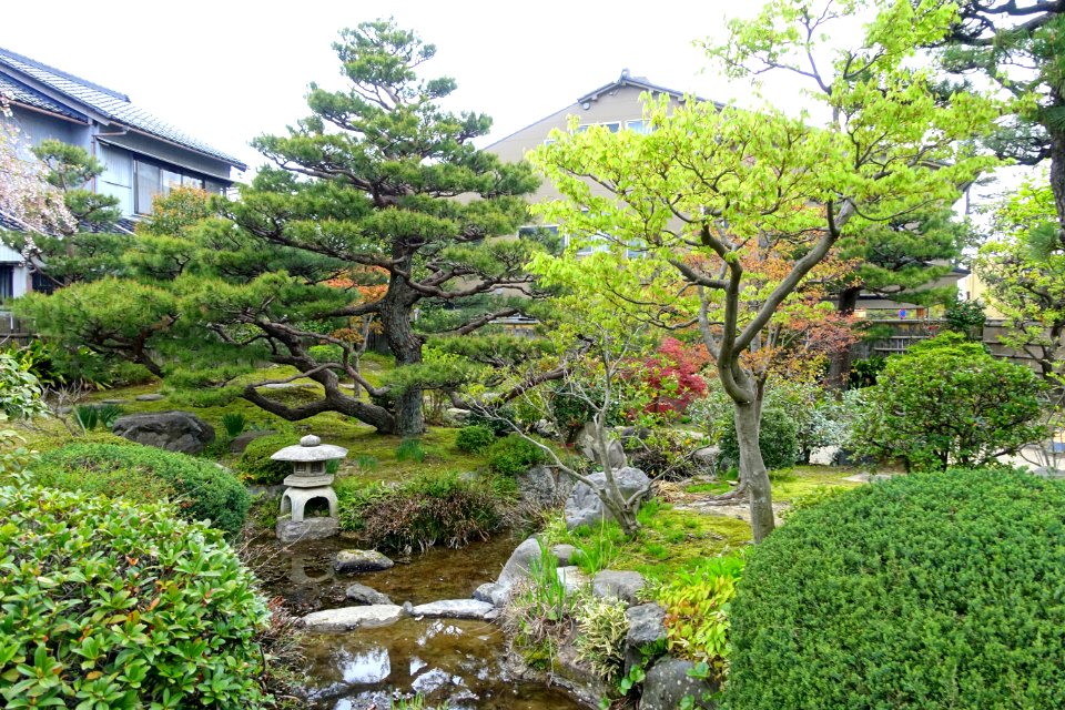Garden - Takada Family Residence - Kanazawa, Japan - DSC00537