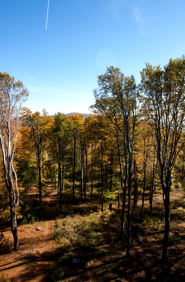 Galyatető, view from the top of the tower towards east