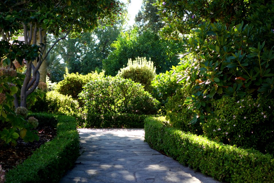 Garden - Hearst Castle - DSC06998