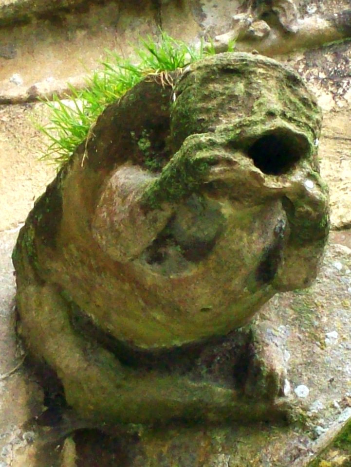 Gargoyle, Lacock
