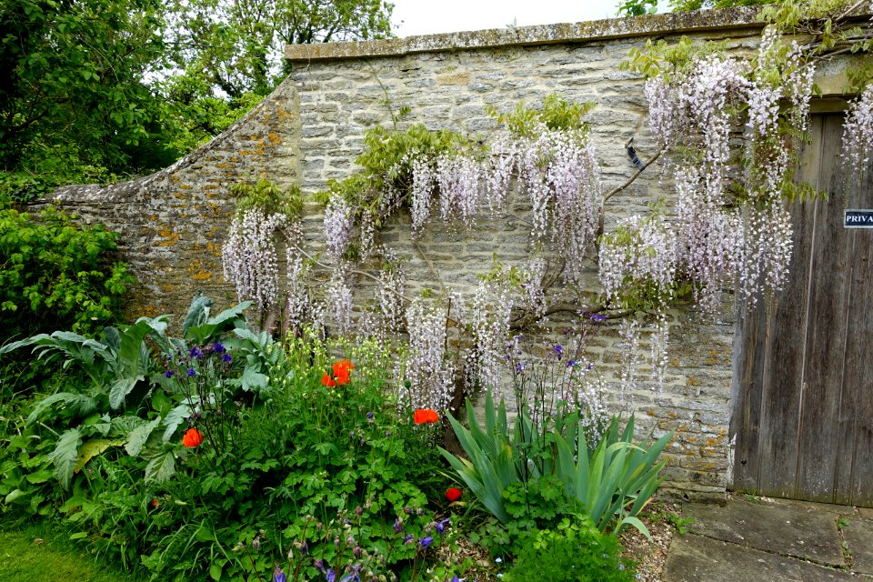 Garden - Kelmscott Manor - Oxfordshire, England - DSC00163