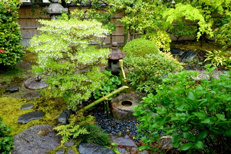 Garden - Kanchi-in - Toji - Kyoto, Japan - DSC07125