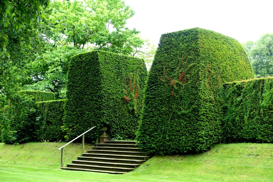 Garden - Renishaw Hall - Derbyshire, England - DSC02303