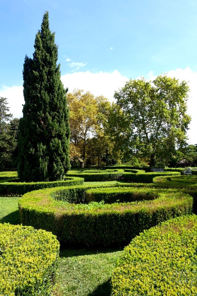 Garden of the Palácio dos Condes da Calheta - Jardim Botânico Tropical - Lisbon, Portugal - DSC06522