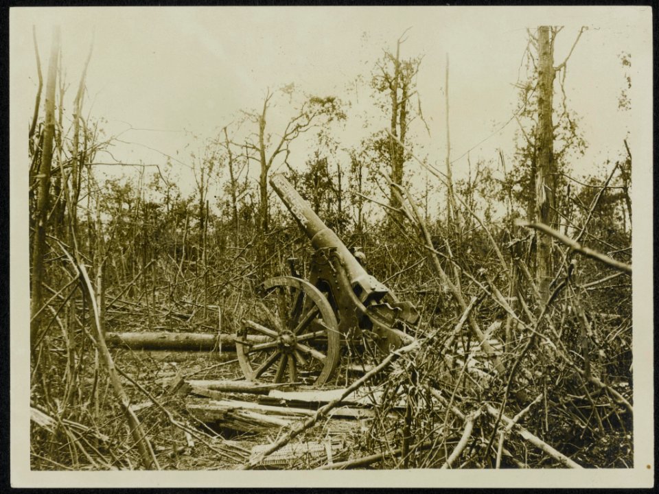 German fieldgun in the Mametz wood, Bestanddeelnr 158-0181