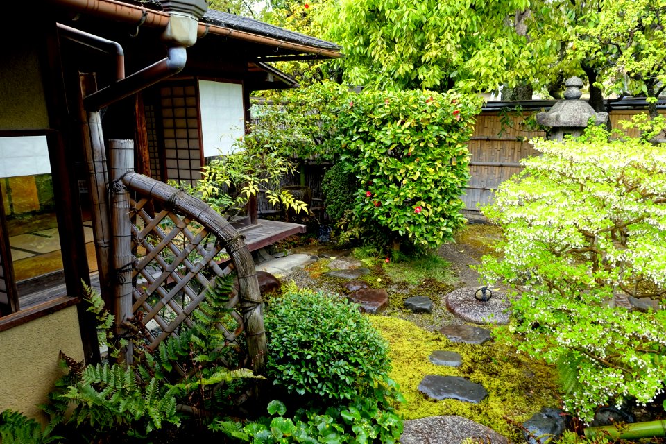 Garden - Kanchi-in - Toji - Kyoto, Japan - DSC07127