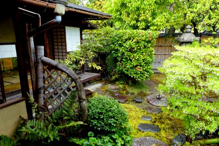 Garden - Kanchi-in - Toji - Kyoto, Japan - DSC07127