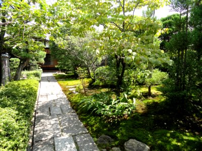 Garden - Hyakumanben chion-ji - Kyoto - DSC06578 photo