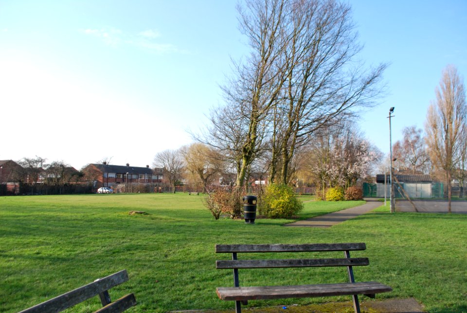 Glenn Park bench