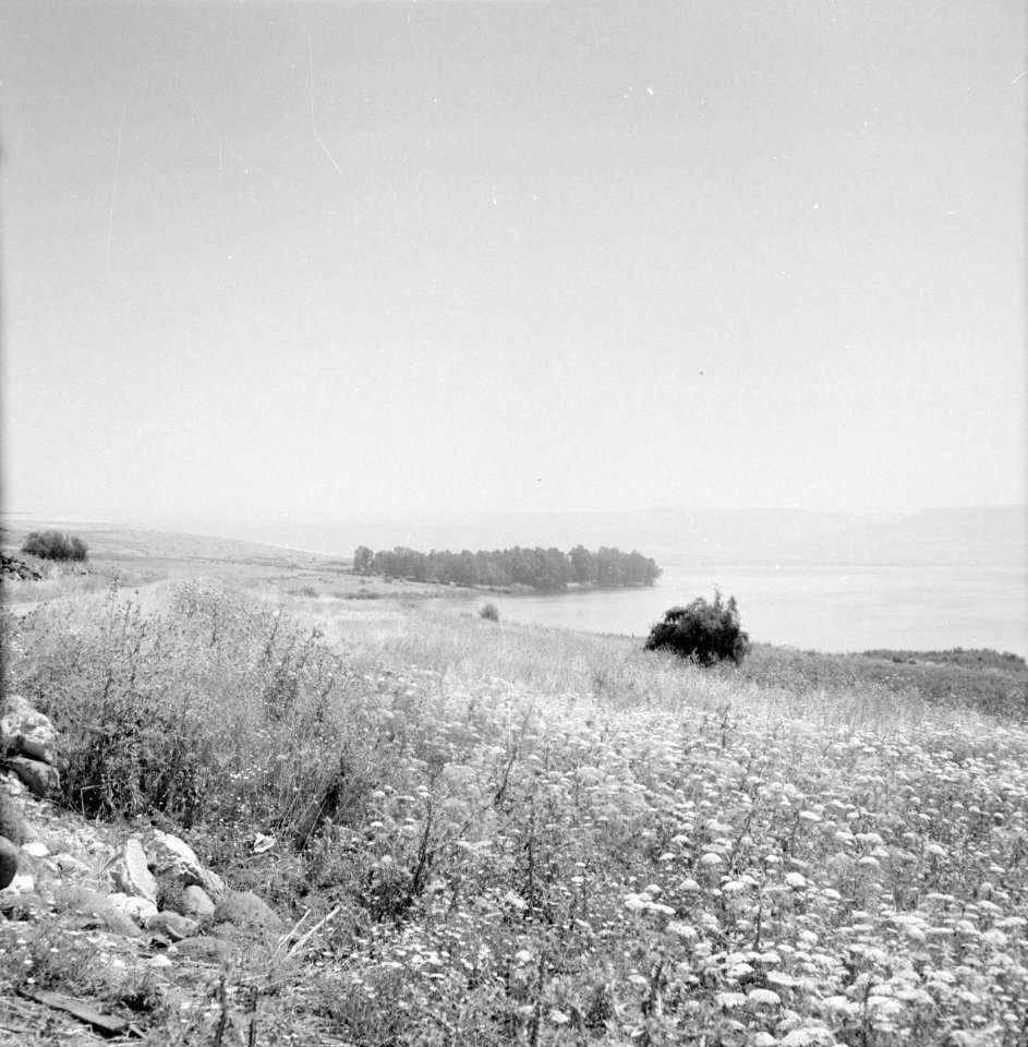 Gezicht op het meer van Tiberias bij Kapernaum in de ochtendmist, Bestanddeelnr 255-3002