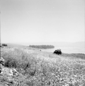 Gezicht op het meer van Tiberias bij Kapernaum in de ochtendmist, Bestanddeelnr 255-3002