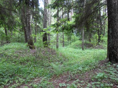 Gnezdovo complex - Forest kurgan group - 13