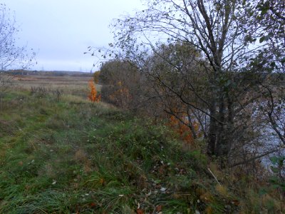 Gnezdovo complex - Olshanskoye hillfort - 04