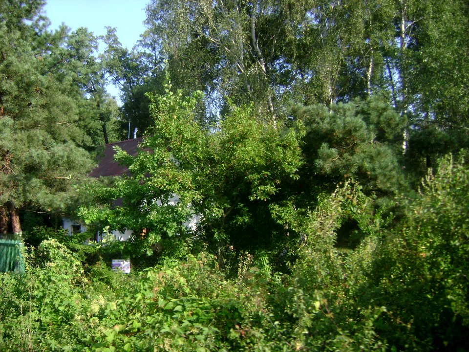 Gmina Prażmów. Krępa 004