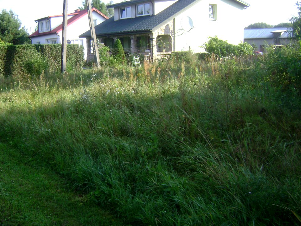 Gmina Prażmów. Krępa 002