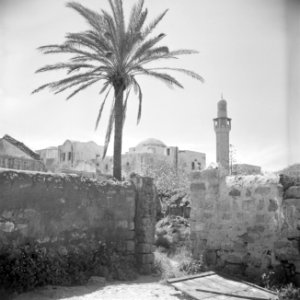 Gezicht op een minaret van een moskee te Acre met een omuurde tuin en een palmb…, Bestanddeelnr 255-1183