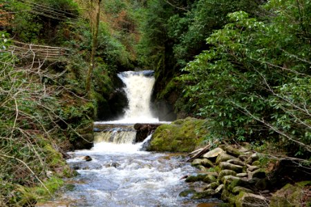 Geroldsau Waterfall 2020-03-13 54