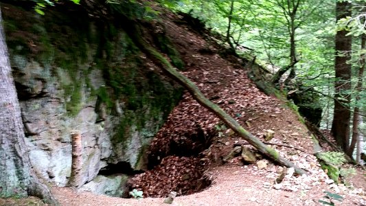 Grube bei Gorxheim