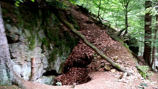 Grube bei Gorxheim photo