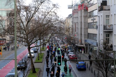 Global Climate Strike Berlin bicycle demonstration Steglitz 2021-03-19 43