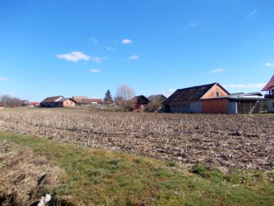 Globoko, Brežice 04