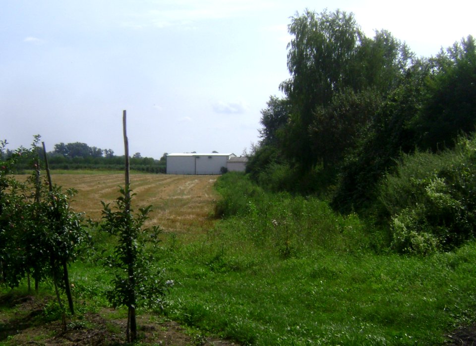 Gmina Konstancin-Jeziorna. Dębówka 005