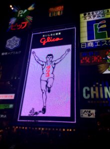 Glico sign at night, 25th October 2014 (8) photo