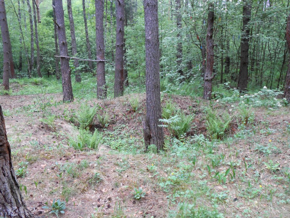Gnezdovo complex - Forest kurgan group - 30