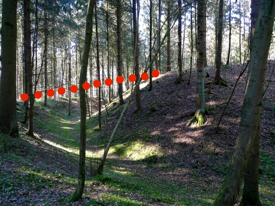Hart-Wasenberg11-Ringgraben-südlich-skizzierter-Zugang