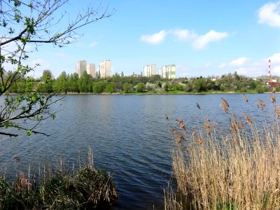 Gniezno jez park4 04-2014