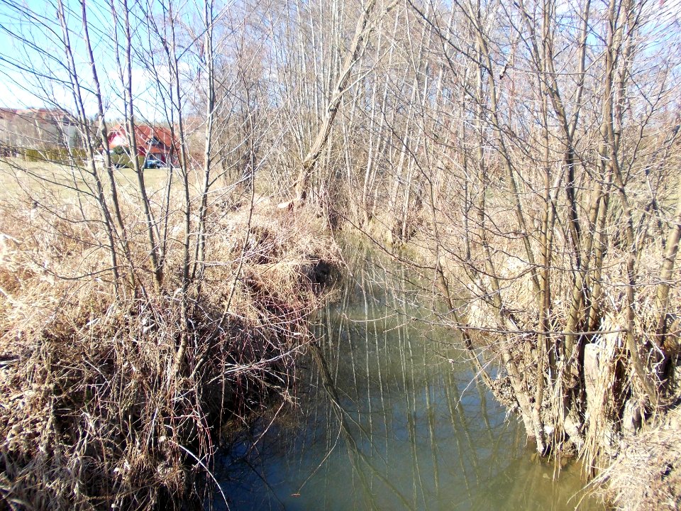 Globoko, Brežice 11