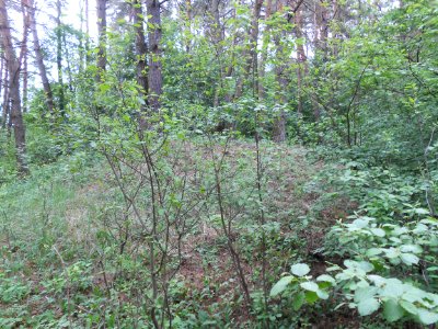 Gnezdovo complex - Glushenkovskaya kurgan group - 02