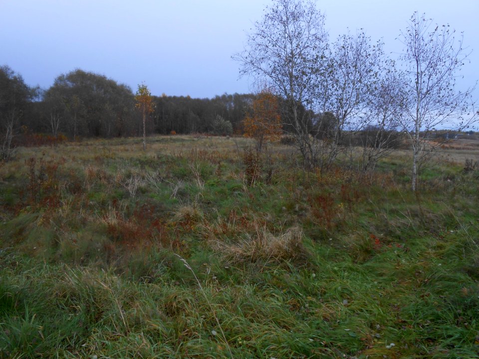 Gnezdovo complex - Olshanskoye hillfort - 03
