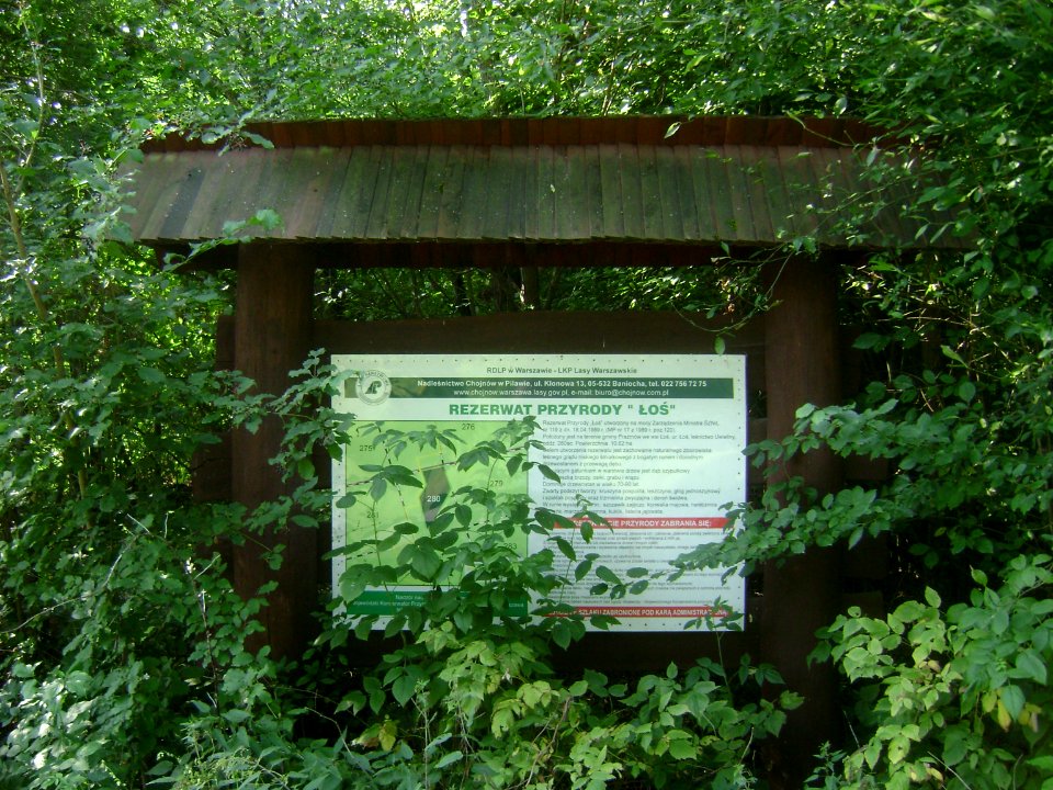 Gmina Prażmów. Łoś Nature Reserve 001