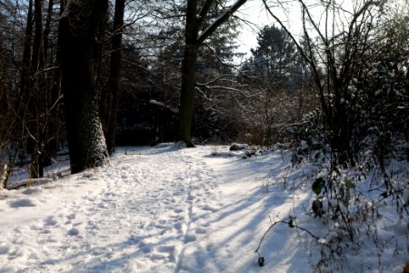 Glühwürmchengrund und Immenweide with snow 2021-02-10 01