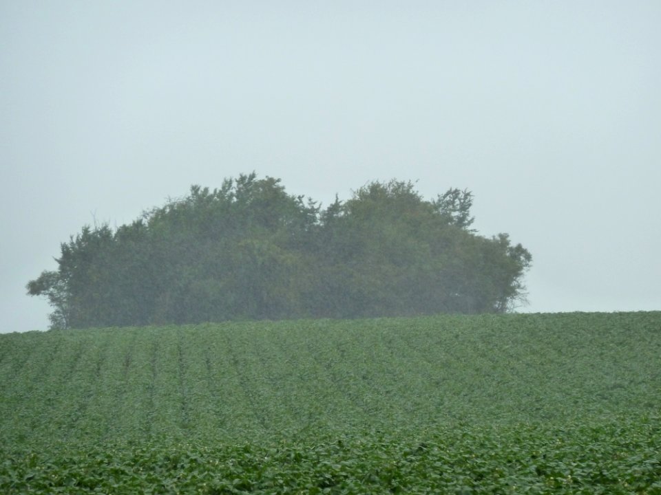 Hannut-Tumulus van Avernas (1)
