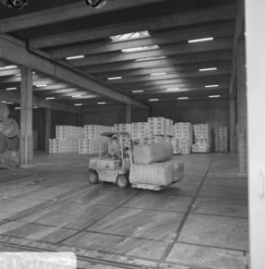 Haven van Rotterdam laden en lossen van schepen, Bestanddeelnr 922-0818