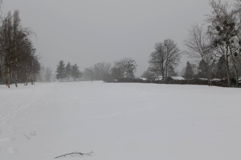 Hans-Baluschek-Park with snow 2021-02-08 10