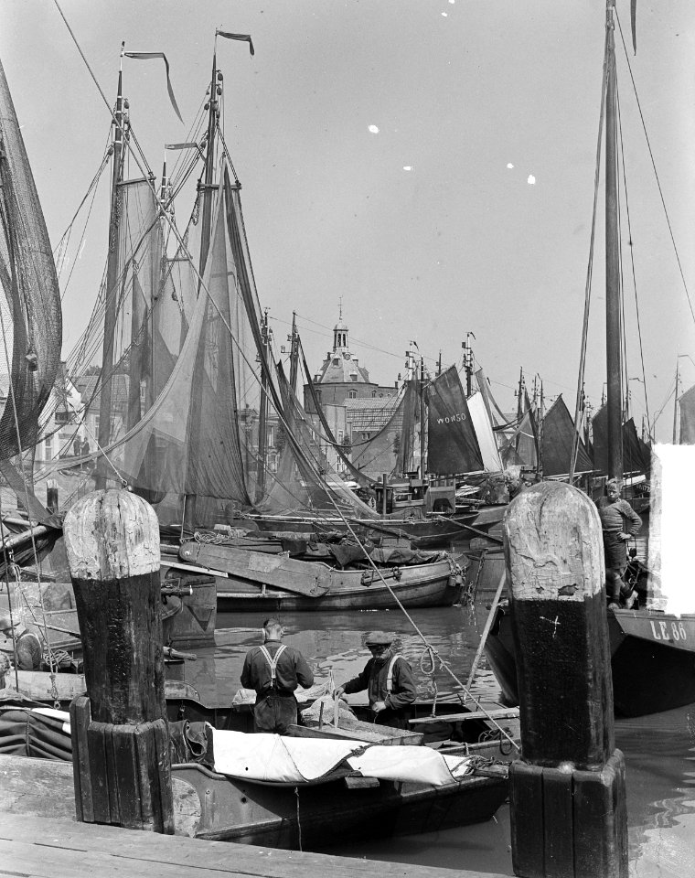 Haven van Enkhuizen voor palingvangst, Bestanddeelnr 903-4256