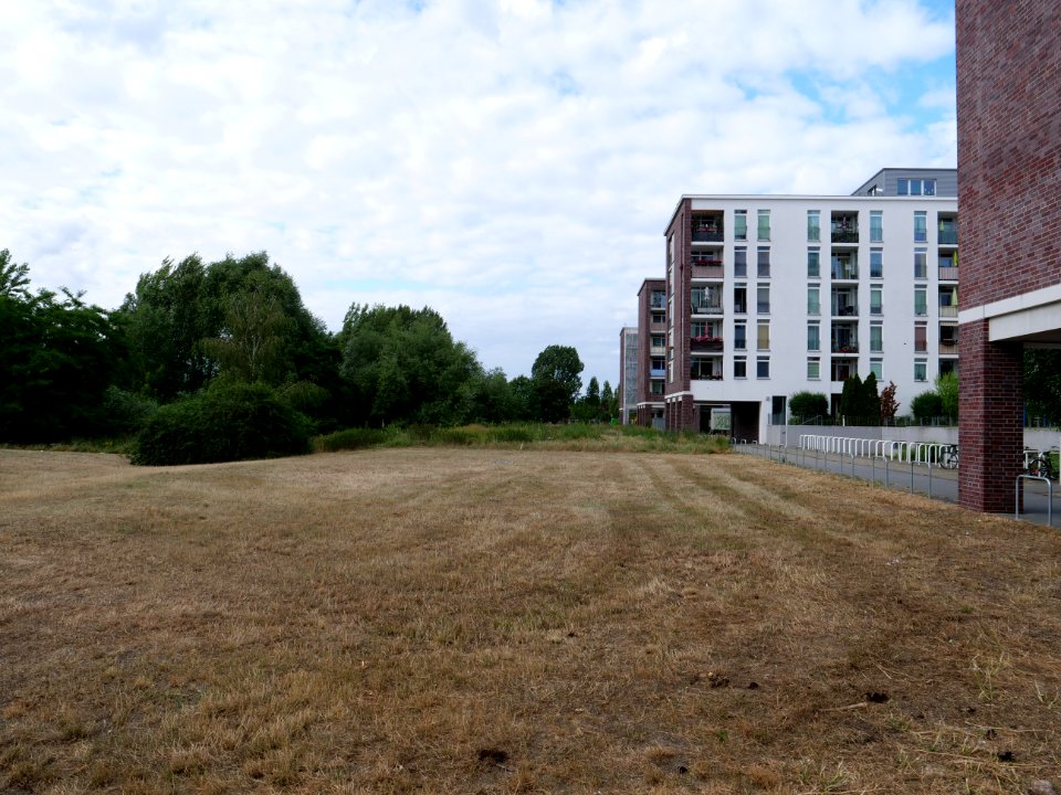 Havelwiesen Hakenfelde 2019-07-07 02